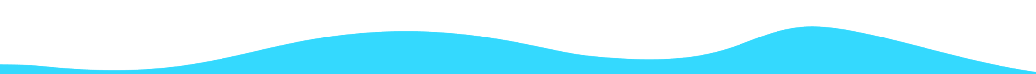 Imagem inferior da seção